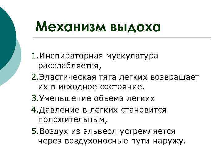 Механизм выдоха 1. Инспираторная мускулатура  расслабляется, 2. Эластическая тяга легких возвращает  их