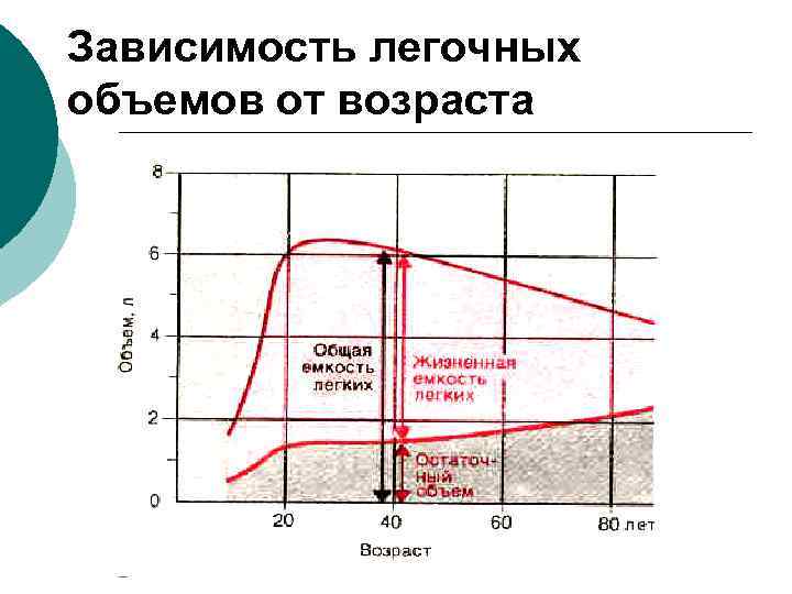 Зависимость легочных объемов от возраста 