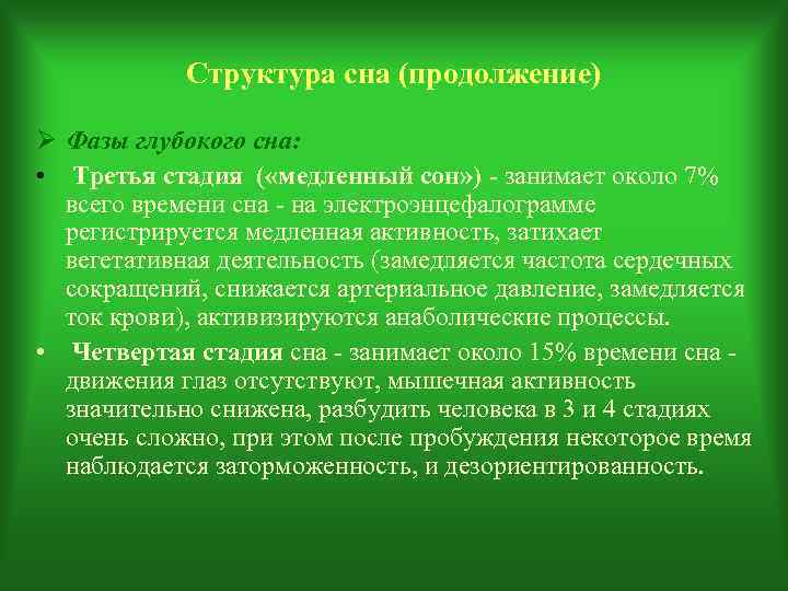   Структура сна (продолжение) Ø Фазы глубокого сна:  • Третья стадия (