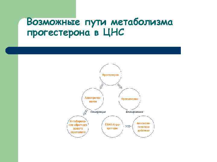 Возможные пути метаболизма прогестерона в ЦНС 