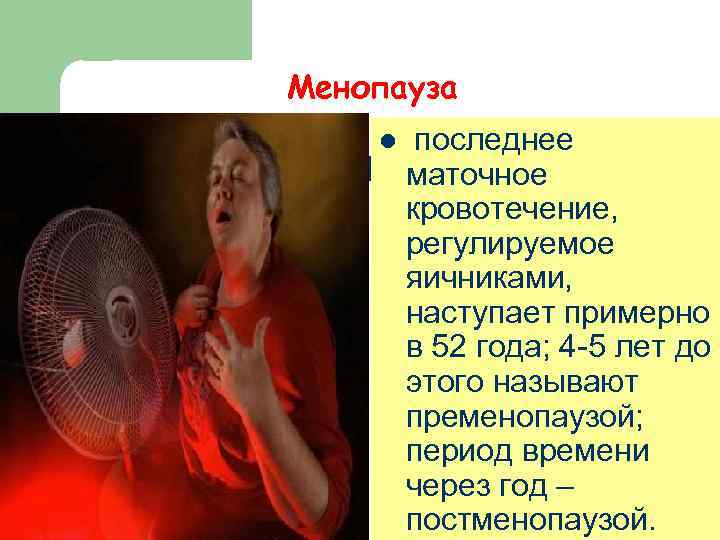 Менопауза l  последнее   маточное   кровотечение,  регулируемое  