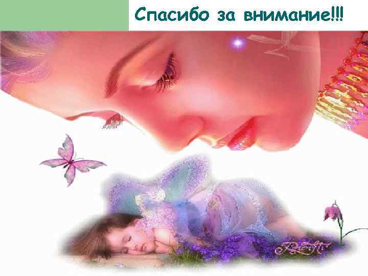 Спасибо за внимание!!! 