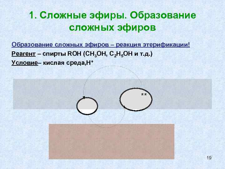   1. Сложные эфиры. Образование  сложных эфиров Образование сложных эфиров – реакция