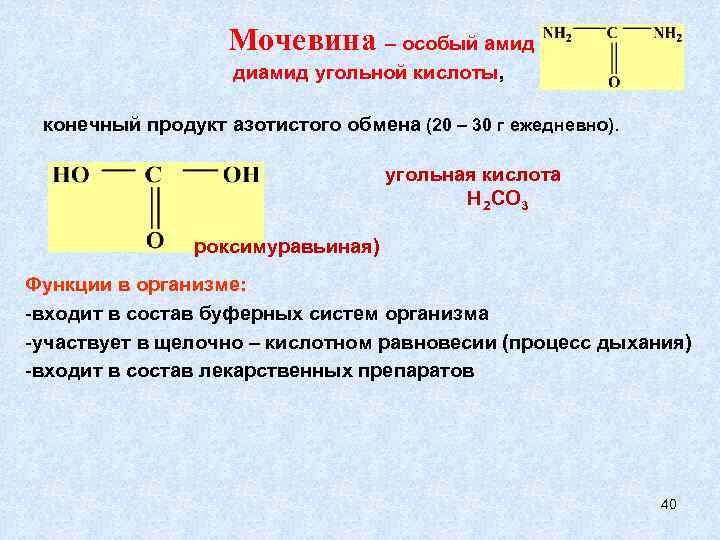     Мочевина – особый амид    диамид угольной кислоты,