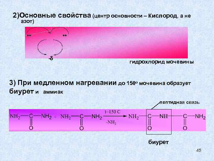  2)Основные свойства (центр основности – Кислород, а не  азот)  ** 