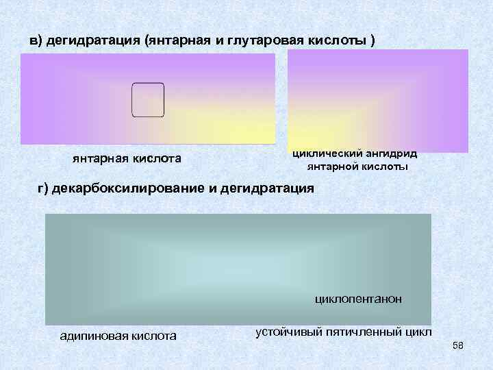 в) дегидратация (янтарная и глутаровая кислоты )   янтарная кислота   