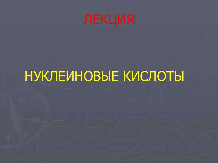  ЛЕКЦИЯ  НУКЛЕИНОВЫЕ КИСЛОТЫ 