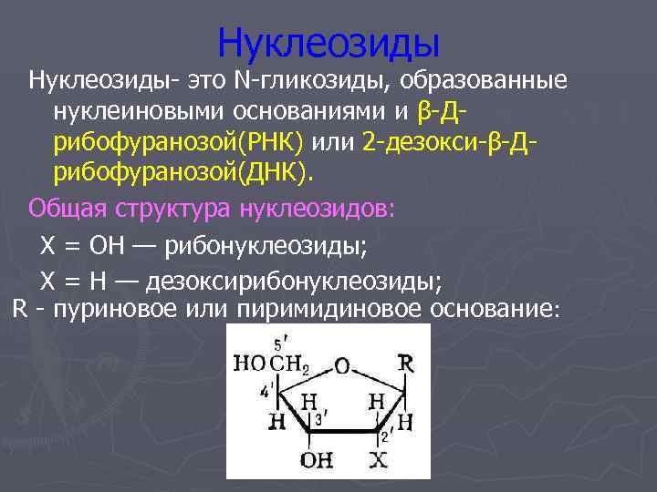     Нуклеозиды- это N-гликозиды, образованные нуклеиновыми основаниями и β-Д- рибофуранозой(РНК) или