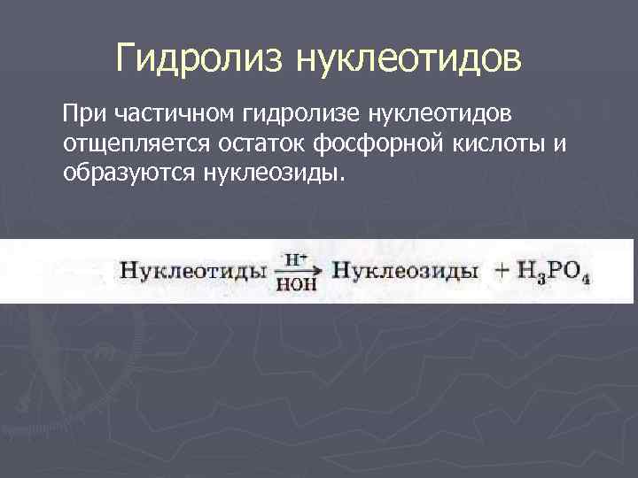   Гидролиз нуклеотидов При частичном гидролизе нуклеотидов отщепляется остаток фосфорной кислоты и образуются