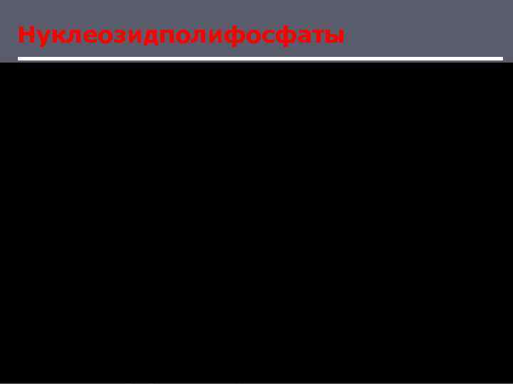 Нуклеозидполифосфаты 