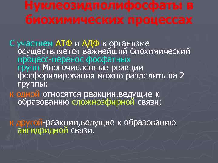   Нуклеозидполифосфаты в  биохимических процессах С участием АТФ и АДФ в организме