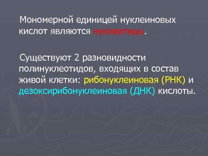 Мономерной единицей нуклеиновых кислот являются нуклеотиды.  Существуют 2 разновидности полинуклеотидов, входящих в состав