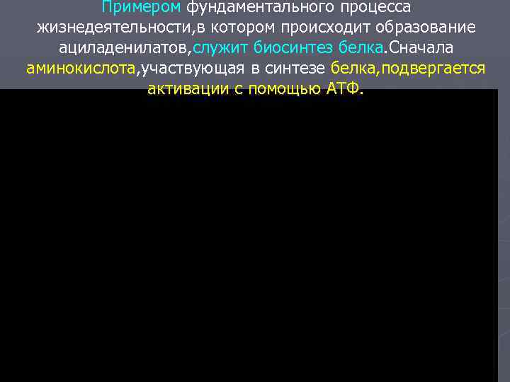  Примером фундаментального процесса жизнедеятельности, в котором происходит образование  ациладенилатов, служит биосинтез
