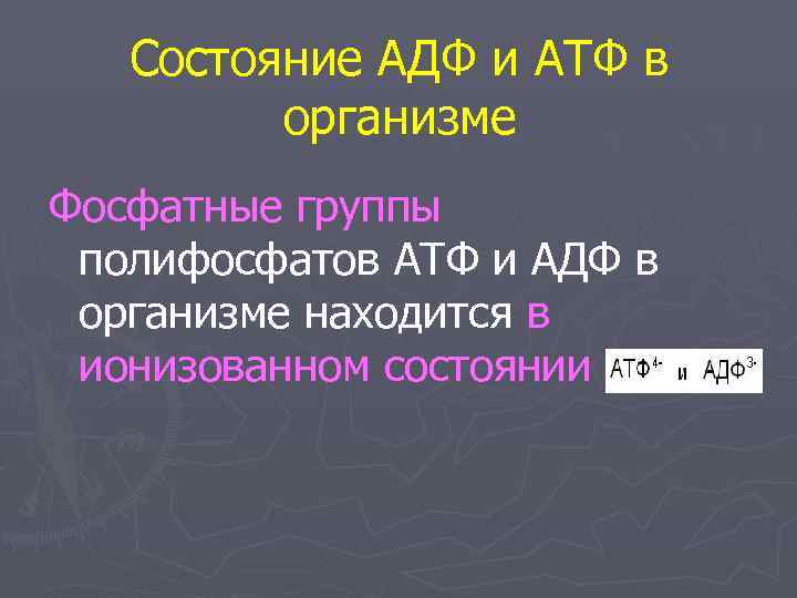   Состояние АДФ и АТФ в   организме Фосфатные группы полифосфатов АТФ