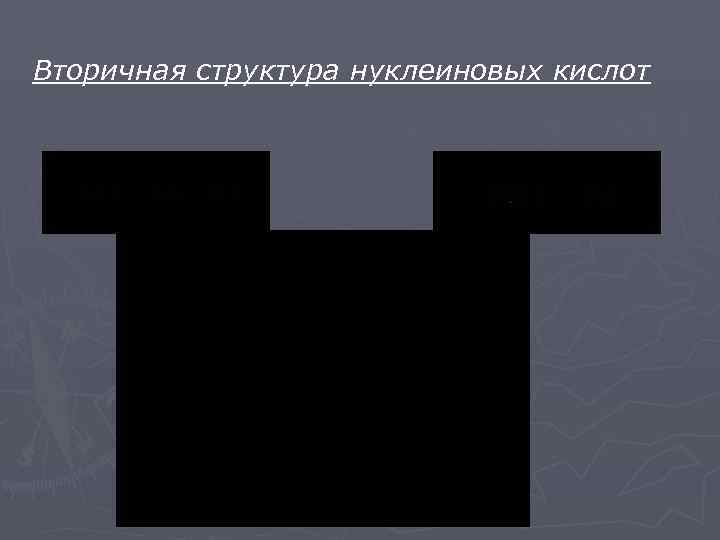 Вторичная структура нуклеиновых кислот 
