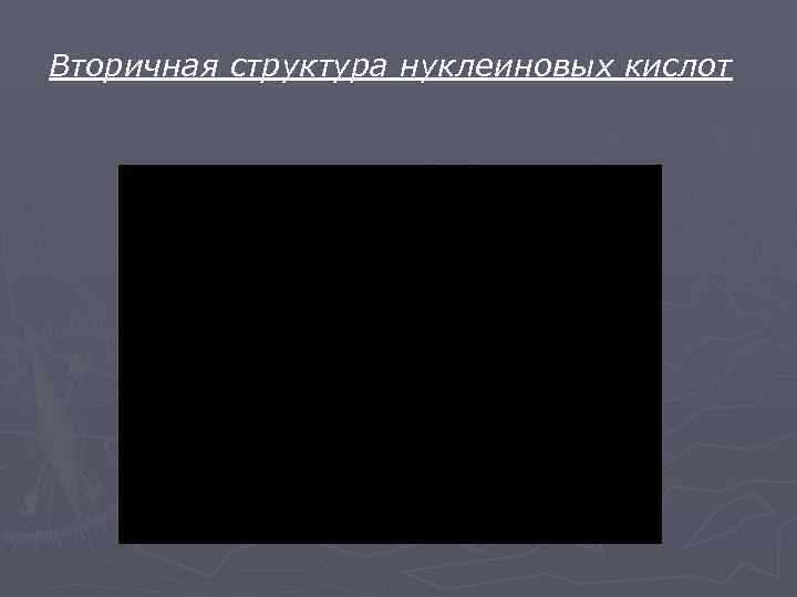 Вторичная структура нуклеиновых кислот 