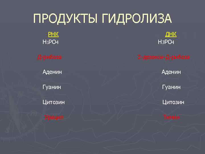 ПРОДУКТЫ ГИДРОЛИЗА  РНК    ДНК H 3 PO 4 Д-рибоза 2