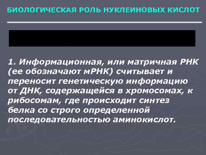 БИОЛОГИЧЕСКАЯ РОЛЬ НУКЛЕИНОВЫХ КИСЛОТ 1. Информационная, или матричная РНК (ее обозначают м. РНК) считывает