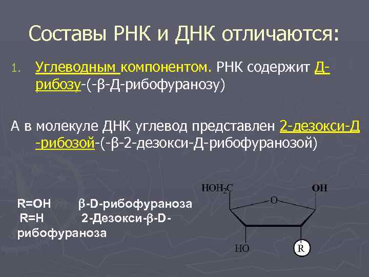 В состав днк не входит. Рибоза в РНК. Углеводный компонент молекулы ДНК. Углевод РНК. Углеводным компонентом РНК является.