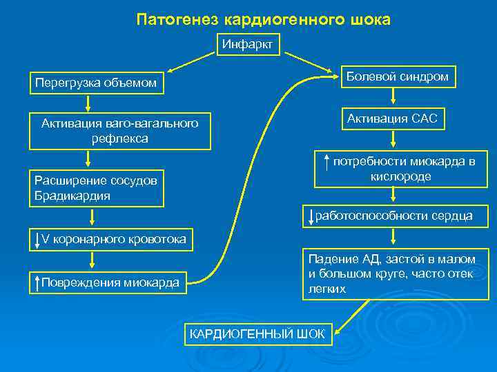 Патогенез кардиогенного шока схема