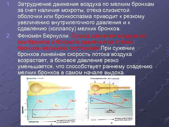 1.  Затруднение движения воздуха по мелким бронхам за счет наличия мокроты, отека слизистой