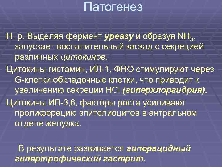    Патогенез H. p. Выделяя фермент уреазу и образуя NH 3, 