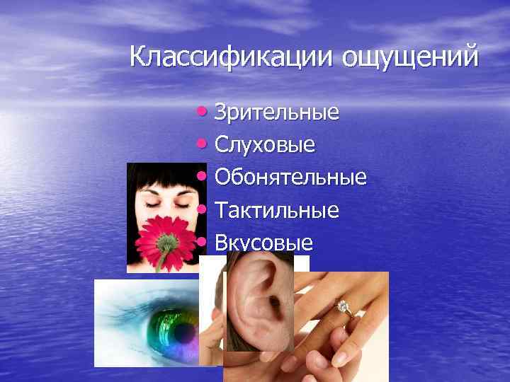 Классификации ощущений • Зрительные • Слуховые • Обонятельные • Тактильные • Вкусовые 