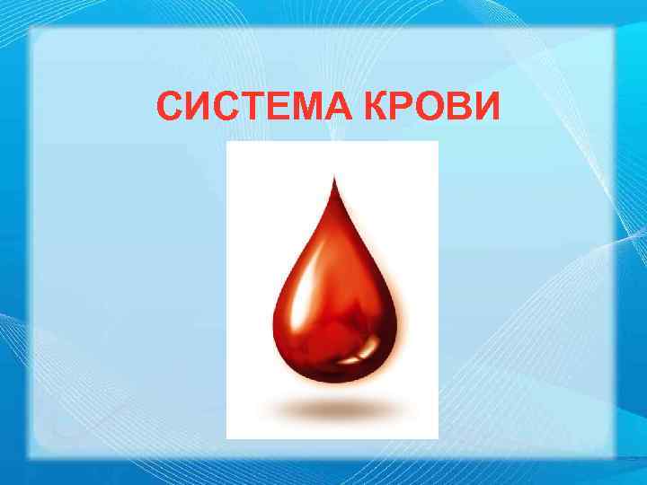 СИСТЕМА КРОВИ 