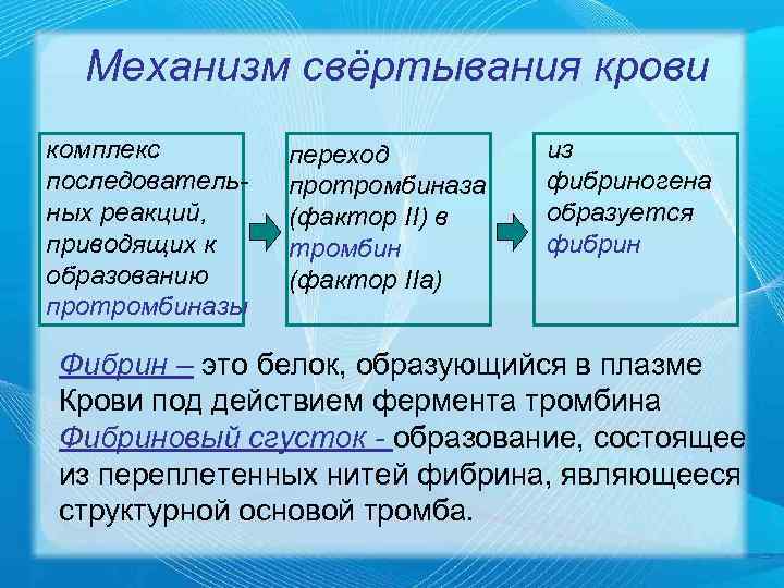 Механизм свёртывания крови комплекс   переход   из последователь-  протромбиназа
