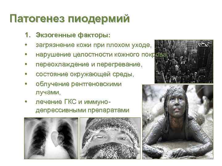 Патогенез пиодермий  1.  Экзогенные факторы: • загрязнение кожи при плохом уходе, •