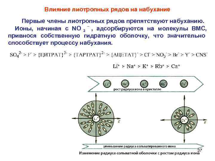   Влияние лиотропных рядов на набухание  Первые члены лиотропных рядов препятствуют набуханию.
