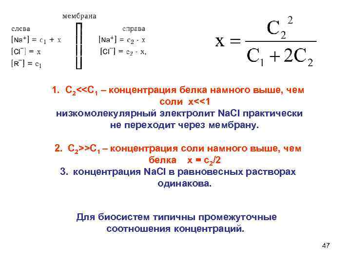 1.  С 2<<С 1 – концентрация белка намного выше, чем   
