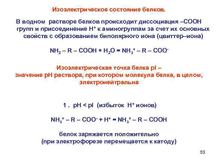   Изоэлектрическое состояние белков. В водном растворе белков происходит диссоциация –СООН групп и