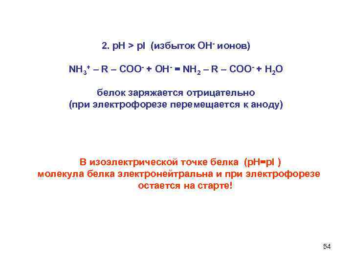   2. р. Н > р. I (избыток ОН ионов)  NH 3+