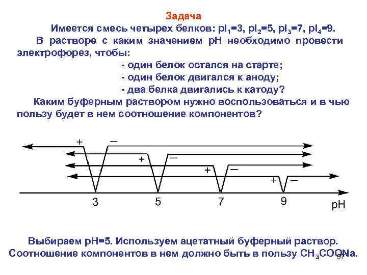     Задача   Имеется смесь четырех белков: p. I 1=3,