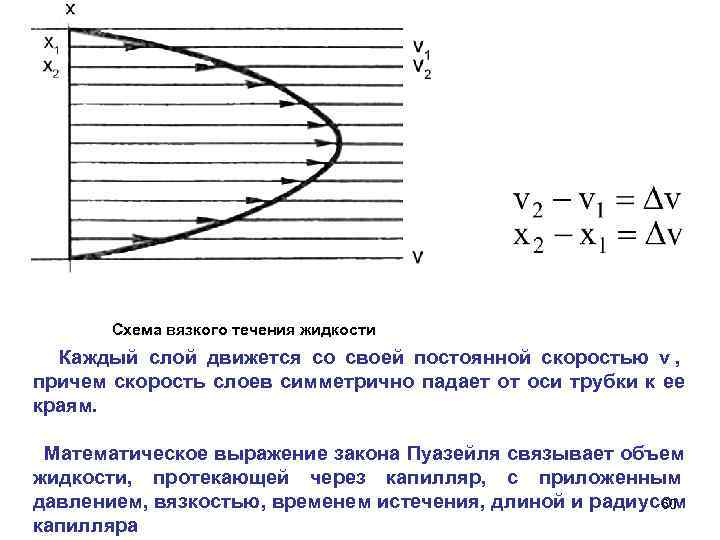   Схема вязкого течения жидкости Каждый слой движется со своей постоянной скоростью v