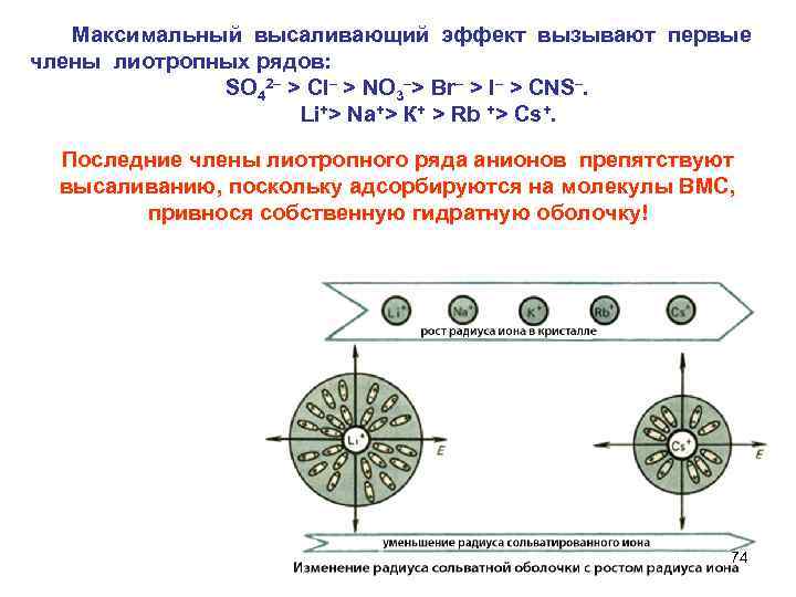  Максимальный высаливающий эффект вызывают первые члены лиотропных рядов:    SO