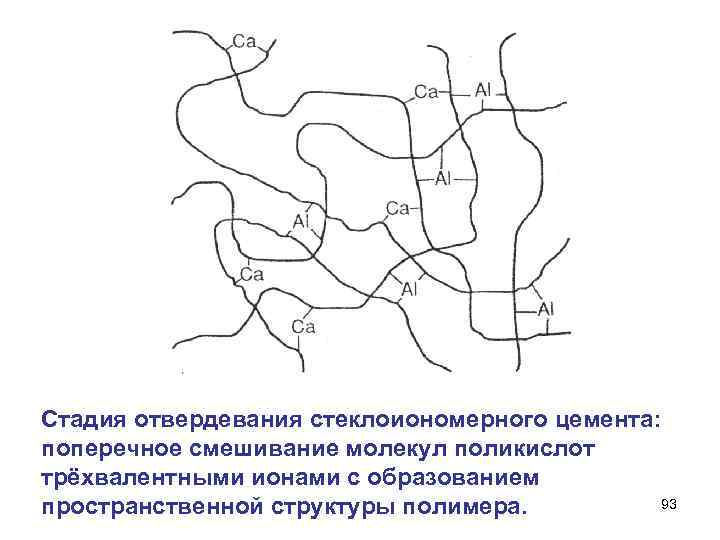 Стадия отвердевания стеклоиономерного цемента:  поперечное смешивание молекул поликислот трёхвалентными ионами с образованием пространственной