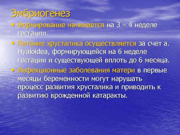 Эмбриогенез • Формирование начинается на 3 – 4 неделе гестации.  •  Питание