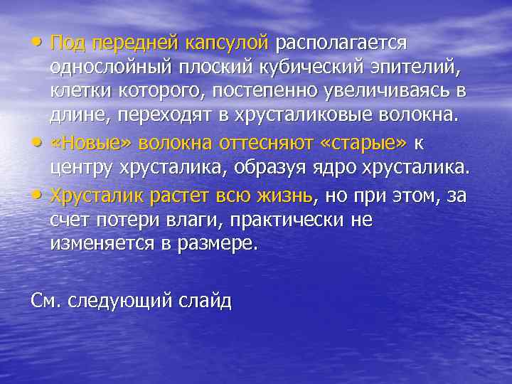  • Под передней капсулой располагается однослойный плоский кубический эпителий, клетки которого, постепенно увеличиваясь