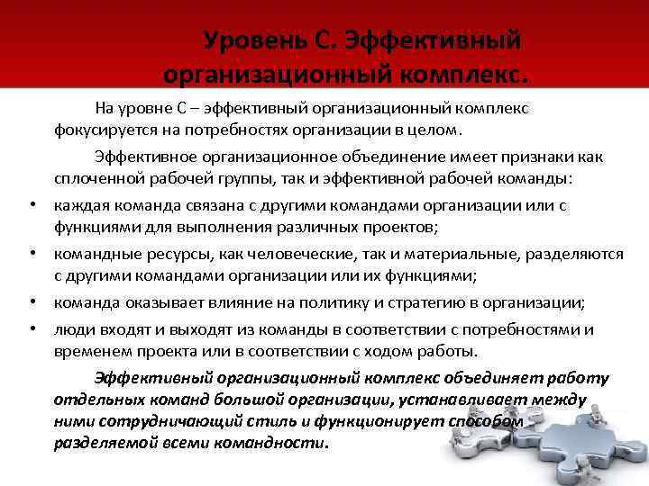     Уровень С. Эффективный   организационный комплекс.  На уровне