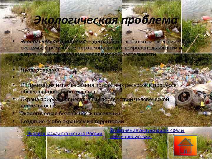   Экологическая проблема • Экологическая проблема— деградация глобальной экологической  системы, в результате