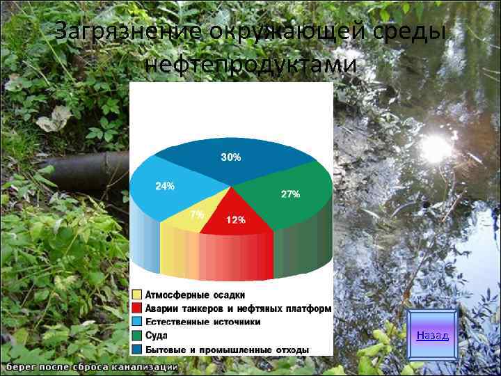 Загрязнение окружающей среды   нефтепродуктами      Назад 