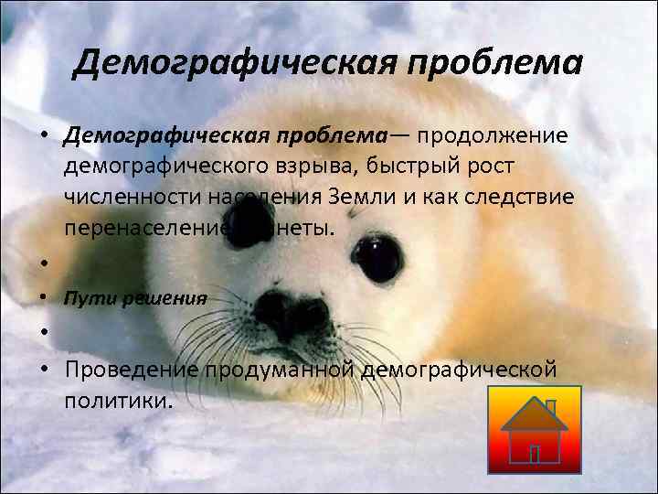  Демографическая проблема • Демографическая проблема— продолжение  демографического взрыва, быстрый рост  численности