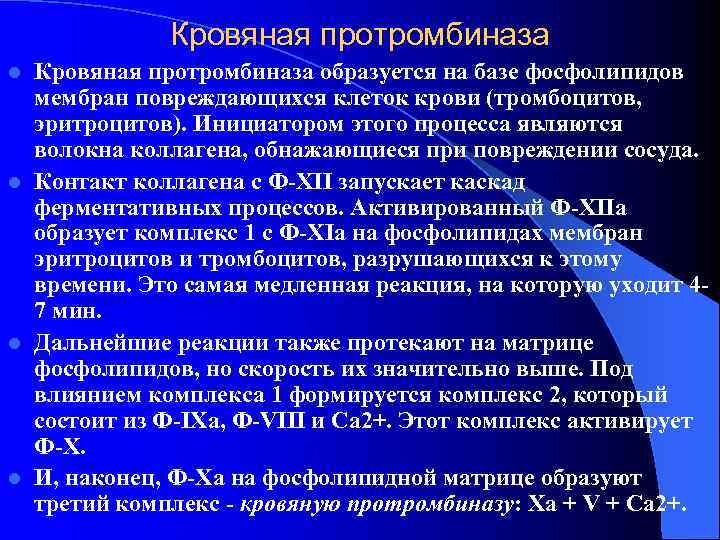    Кровяная протромбиназа l Кровяная протромбиназа образуется на базе фосфолипидов  мембран
