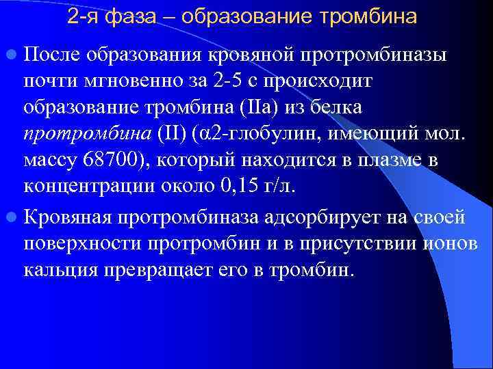  2 -я фаза – образование тромбина l После образования кровяной протромбиназы  почти