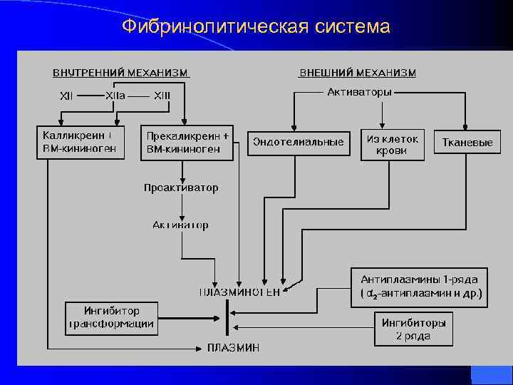 Фибринолитическая система 
