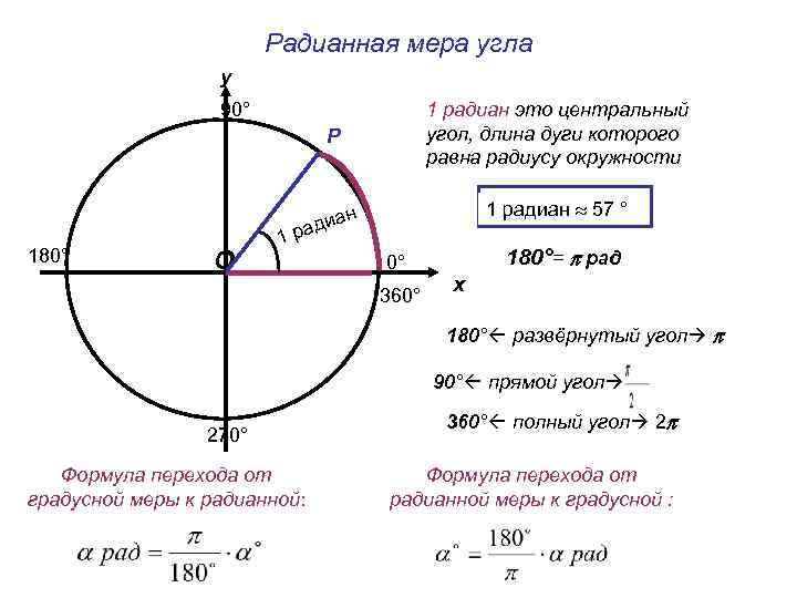     Радианная мера угла    у   