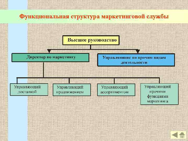 Функциональная структура маркетинговой службы 