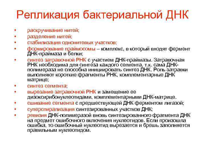   Репликация бактериальной ДНК • раскручивание нитей;  • разделение нитей;  •